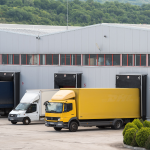 Distribution & Wholesale